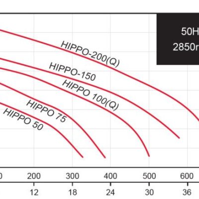 wykresy - evak hippo w