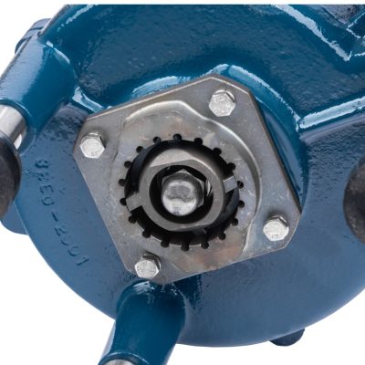 zdjecia - evak alligator 2